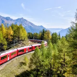 descuento en renfe por familia numerosa